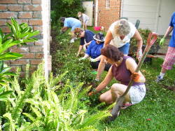 Diggers & Weeders 