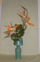 Floral Design